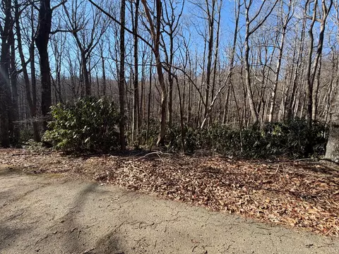 tbd Laurel Way, Fancy Gap, VA 24328 photo 8