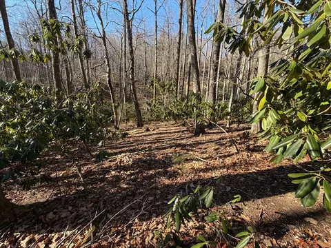 tbd Laurel Way, Fancy Gap, VA 24328 photo 4