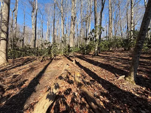 tbd Laurel Way, Fancy Gap, VA 24328 photo 5