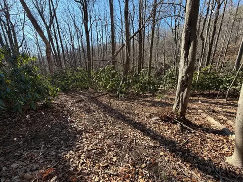 tbd Laurel Way, Fancy Gap, VA 24328 photo 2