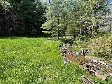 413 Low Gap Rd, Mouth Of Wilson, VA 24363