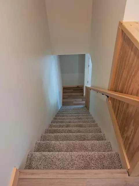 Entry Way - 315 Sulphur Springs Rd, Chilhowie, VA 24319 photo 3 of 4