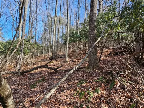 tbd Excelsior School Rd, Laurel Fork, VA 24352 photo 16