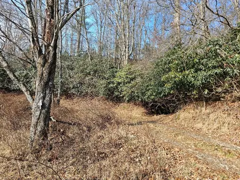 tbd Excelsior School Rd, Laurel Fork, VA 24352 photo 14