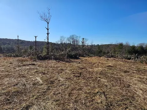 tbd Excelsior School Rd, Laurel Fork, VA 24352 photo 10
