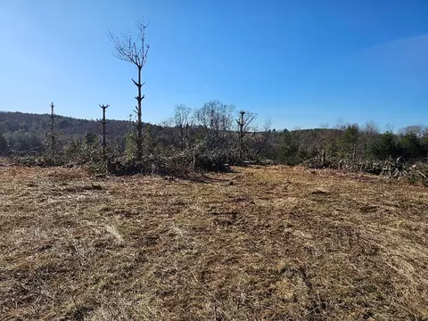 tbd Excelsior School Rd, Laurel Fork, VA 24352 photo 13
