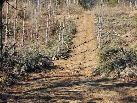tbd Excelsior School Rd, Laurel Fork, VA 24352 photo 7
