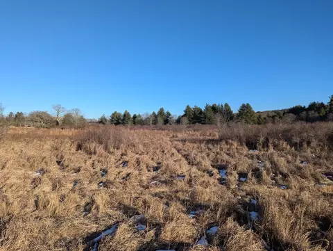 tbd Firehouse Rd, Willis, VA 24380 photo 14