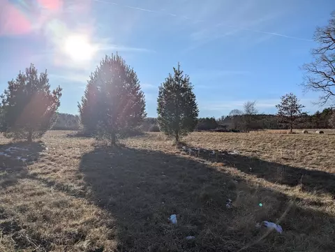 tbd Firehouse Rd, Willis, VA 24380 photo 20