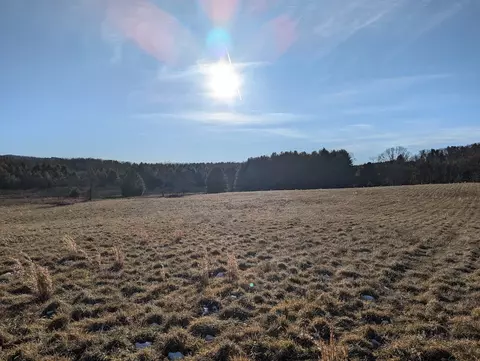 tbd Firehouse Rd, Willis, VA 24380 photo 3