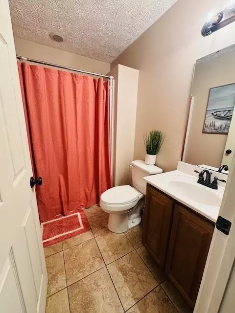 Bath - 167 Laurel Dr, Fancy Gap, VA 24328 photo 3 of 4