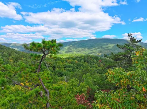 tbd Dry Gulch Rd, Wytheville, VA 24382