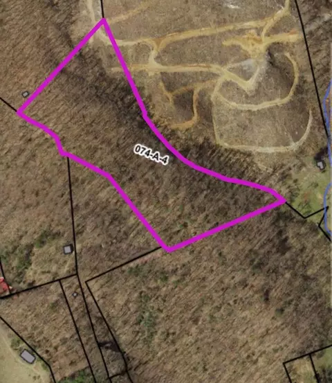 tbd Branch St, Mendota, VA 24270