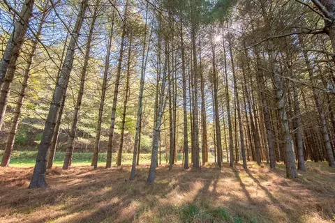 lot2 Old Boyer Ferry Rd, Galax, VA 24333 photo 13