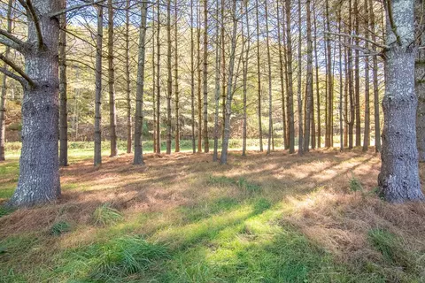 lot2 Old Boyer Ferry Rd, Galax, VA 24333 photo 16