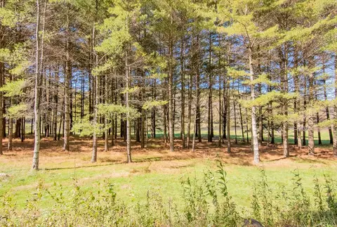 lot2 Old Boyer Ferry Rd, Galax, VA 24333 photo 19