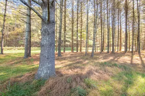 lot2 Old Boyer Ferry Rd, Galax, VA 24333 photo 14