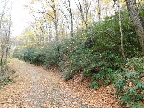 F30-f31 Black Gum Trail, Fancy Gap, VA 24328