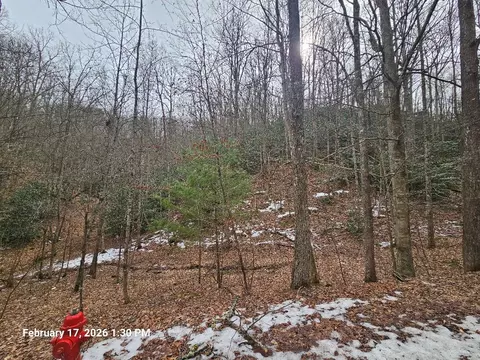 tbd Murray Rd, Marion, VA 24354 photo 16
