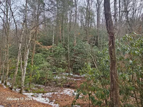 tbd Murray Rd, Marion, VA 24354 photo 11