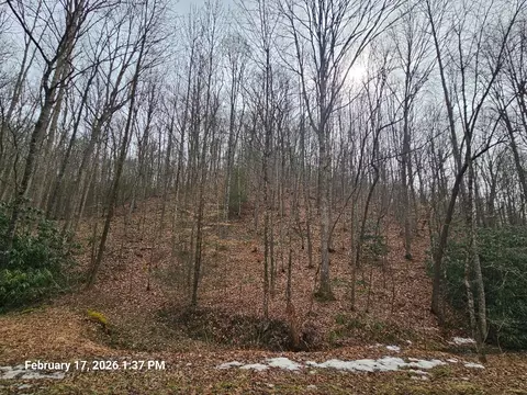 tbd Murray Rd, Marion, VA 24354 photo 3