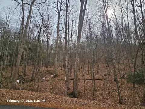 tbd Murray Rd, Marion, VA 24354 photo 5