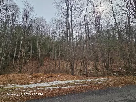 tbd Murray Rd, Marion, VA 24354