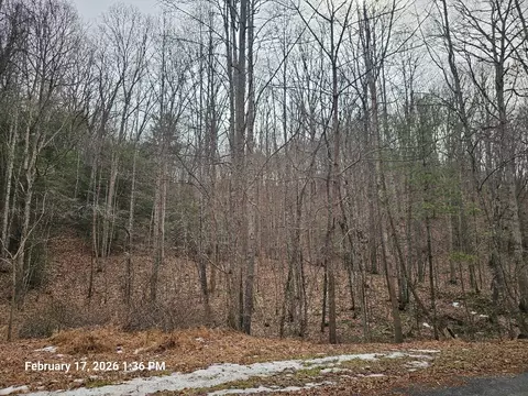 tbd Murray Rd, Marion, VA 24354 photo 7