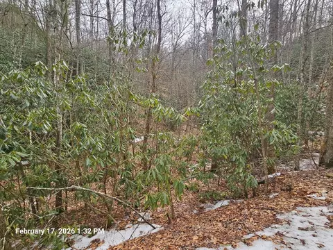 tbd Murray Rd, Marion, VA 24354 photo 13