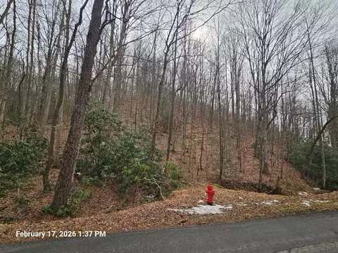 tbd Murray Rd, Marion, VA 24354 photo 4