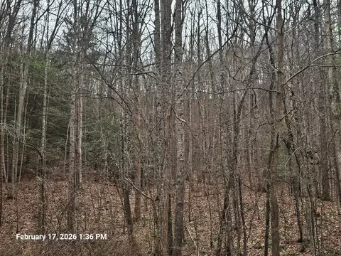 tbd Murray Rd, Marion, VA 24354 photo 6