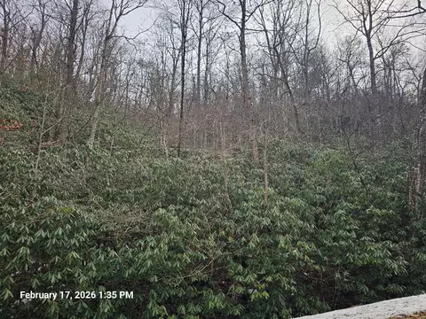 tbd Murray Rd, Marion, VA 24354 photo 10