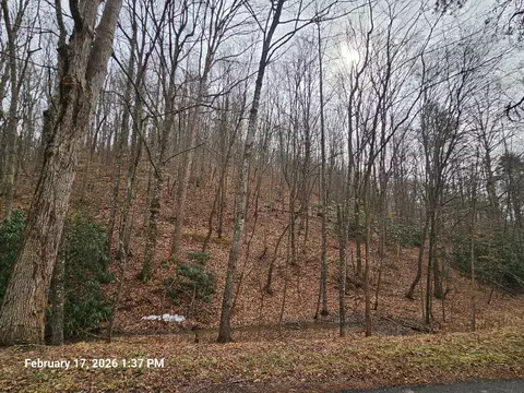 tbd Murray Rd, Marion, VA 24354 photo 2