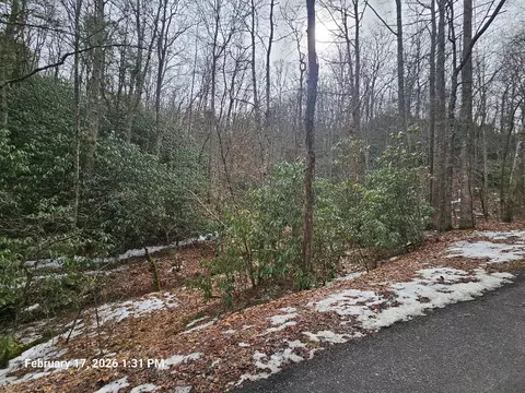 tbd Murray Rd, Marion, VA 24354 photo 14