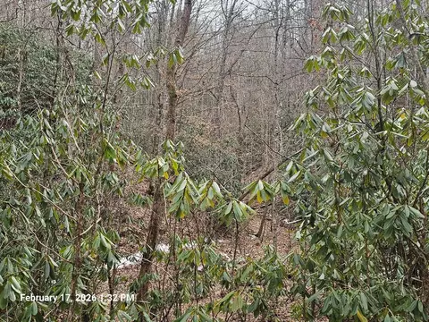 tbd Murray Rd, Marion, VA 24354 photo 12