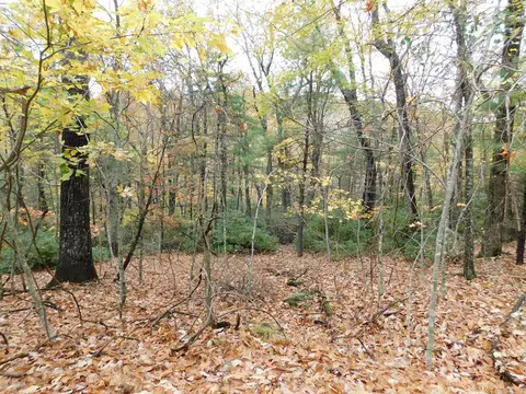 C11-c12 Little Ridge Trail, Fancy Gap, VA 24328
