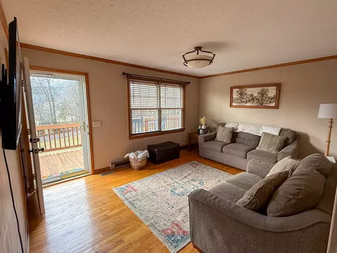 Living - 136 Pecan Dr, Ivanhoe, VA 24350 photo 1 of 1