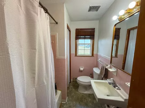 Bath - 136 Pecan Dr, Ivanhoe, VA 24350 photo 1 of 1