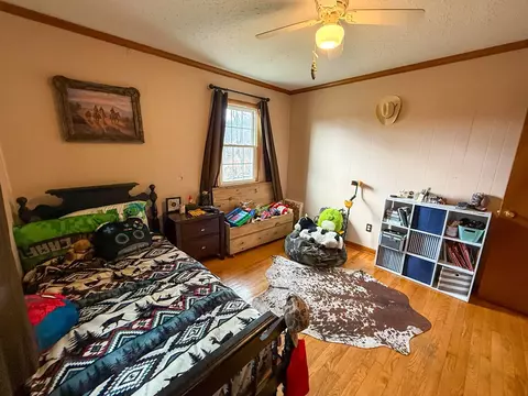 Bedroom - 136 Pecan Dr, Ivanhoe, VA 24350 photo 6 of 6