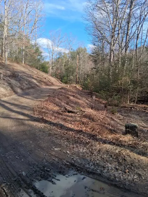 tbd Gullion Fork Rd, Wytheville, WV 24832