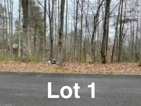 lot1 Reserve Trl, Stuart, VA 24171
