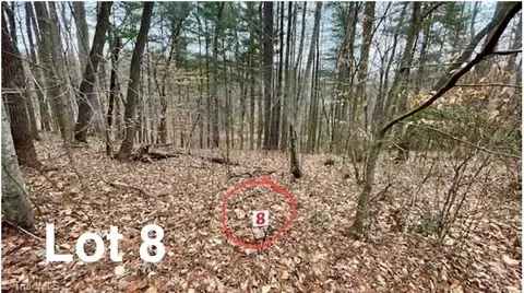 lot8 Woods Haven Ln, Stuart, VA 24171