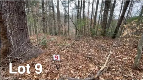 lot9 Woods Haven Ln, Stuart, VA 24171