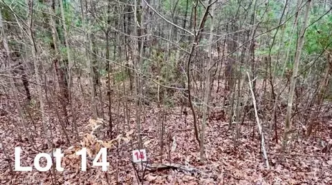 lot14 Woods Haven Ln, Stuart, NC 27141