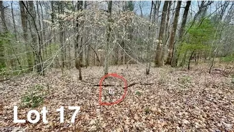 lot17 Woods Haven Ln, Stuart, VA 24171