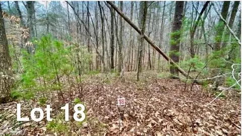 lot18 Woods Haven Ln, Stuart, VA 24171