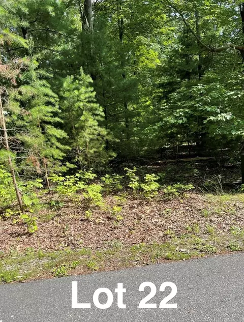 lot22 Woods Haven Ln, Stuart, VA 24171