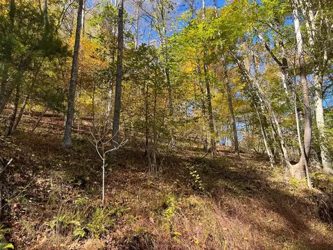 tbd Grayson Pkwy, Galax, VA 24333