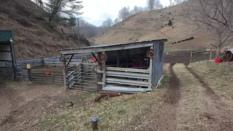 tbd Dove Tree Ln, Honaker, VA 24260 photo 35
