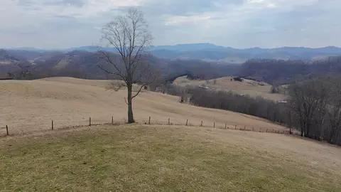 tbd Dove Tree Ln, Honaker, VA 24260 photo 39